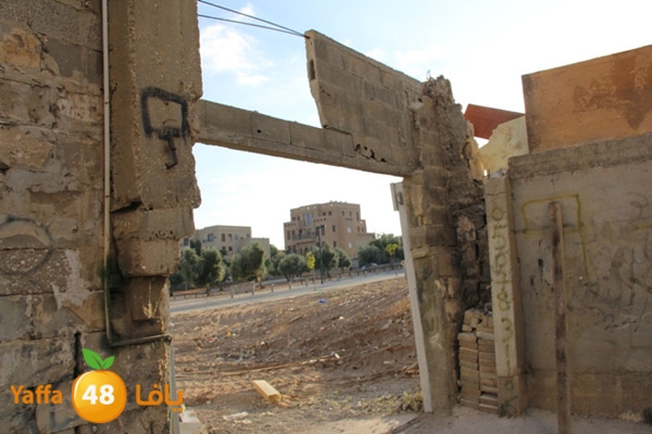 sakis family ard 826 (13).JPG